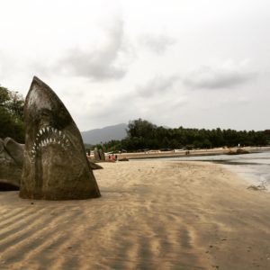 Shark Rock