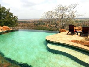 Safari Pool